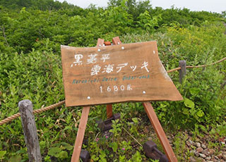 黒菱雲海デッキ