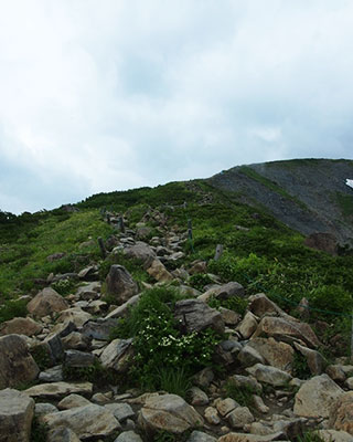 登山道